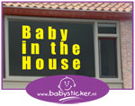 Geboortesticker type 029